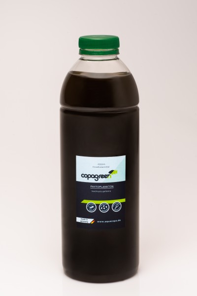 Phytoplankton Isochrysis galbana 500 ml