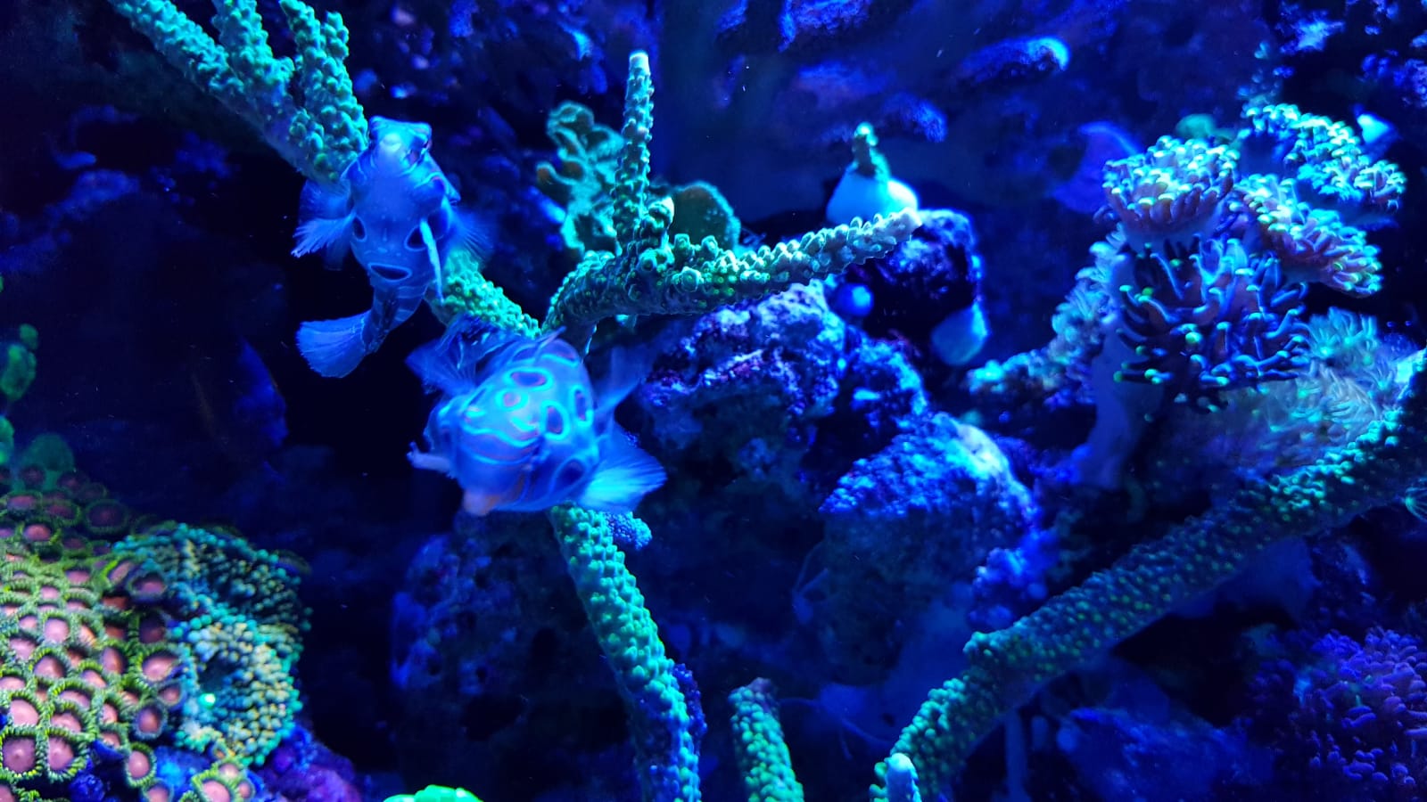 IMG-20190228-WA0005