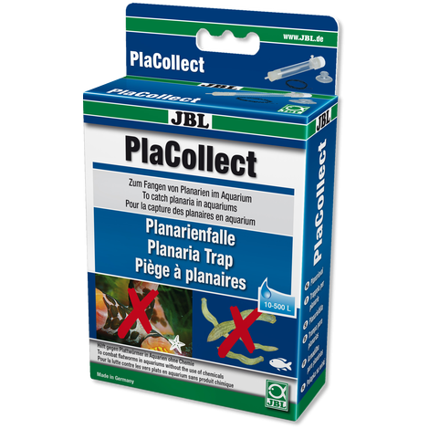 JBL PlaCollect Planarienfalle gegen Plattwürmer