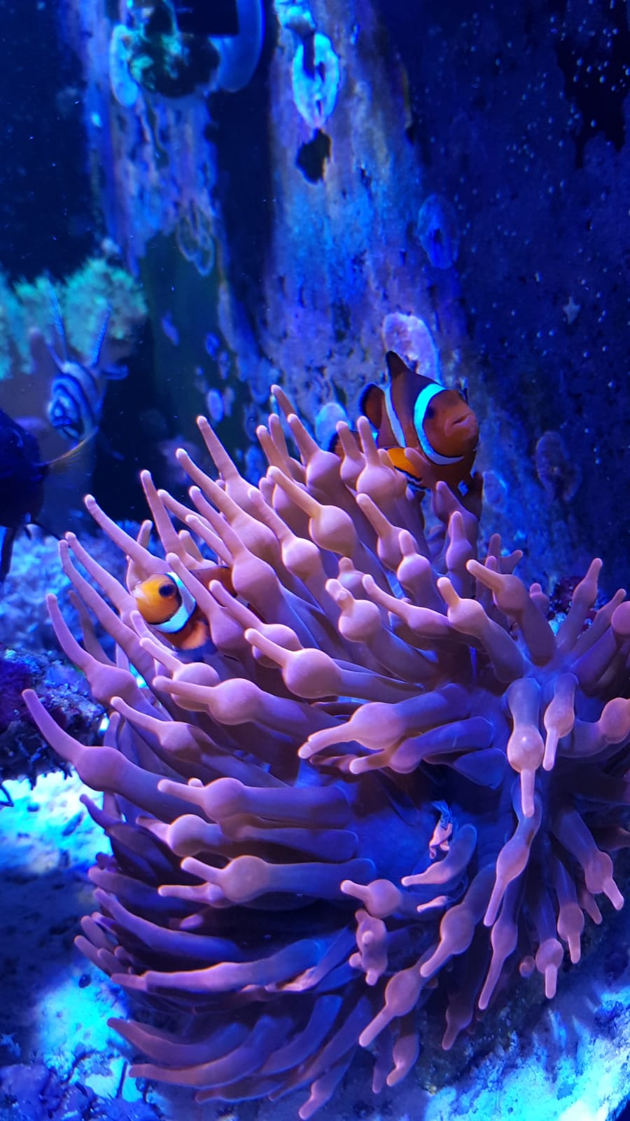 IMG-20190228-WA0007