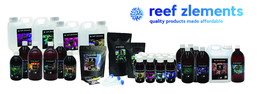 Online-Banner_ReefZlements