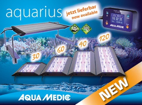 aquarius 60