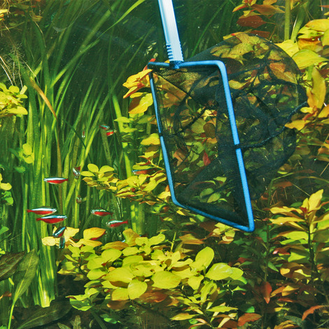 JBL Fangnetz 15 cm grob (41 cm)