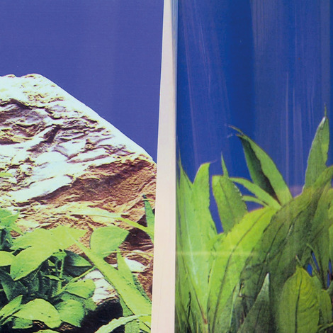 JBL FIXOL 50 ml - Kleber für Fotorückwände in Aquarien und Terrarien