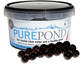 Pure Pond - 1000ml Pure Pond - 1000ml