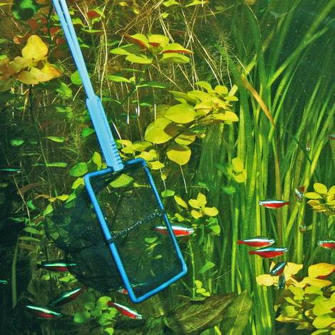 JBL Fangnetz 25 cm fein