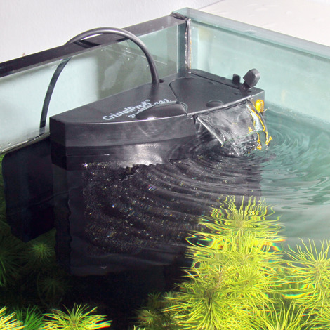 JBL CristalProfi m greenline - Mattenfilter inkl. Pumpe für Aquarien von 20 – 80 l