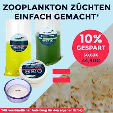 Copepodenzucht Komplett-Set mit detaillierter Anleitung