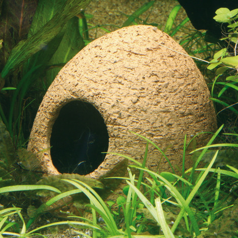 JBL Keramik Ablaichhöhle - Keramik-Höhle für Süßwasser-Aquarien