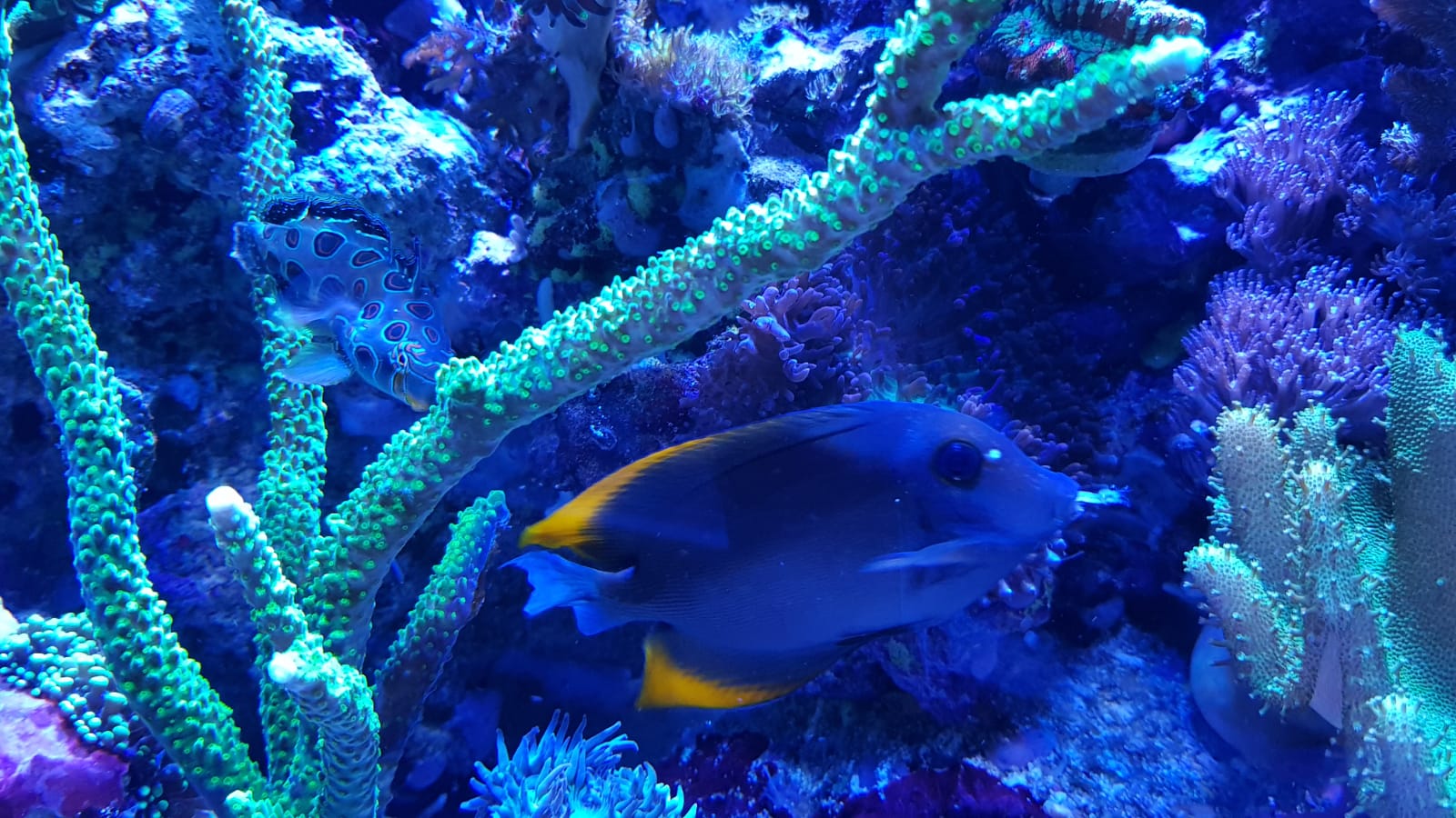 IMG-20190228-WA0009