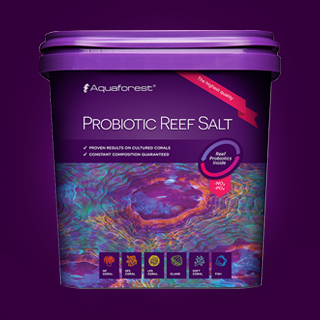 Aquaforest - Probiotic Reef Salz 25 kg Karton