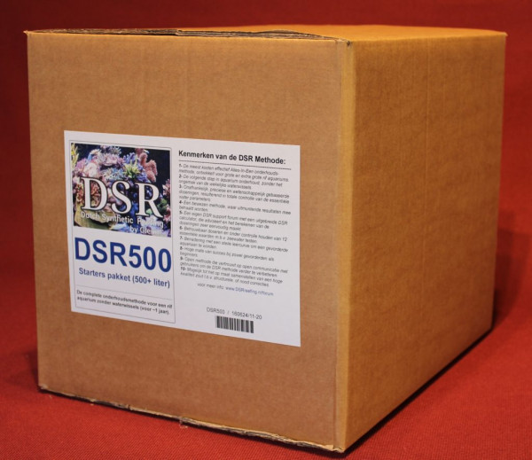 DSR-Starterset 500