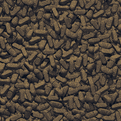 JBL ProPond Silkworms 1,0 kg - Seidenraupen