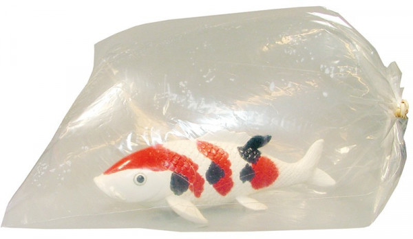 Fischtransportbeutel XXL 60x150cm inkl. zwei Gummiringe