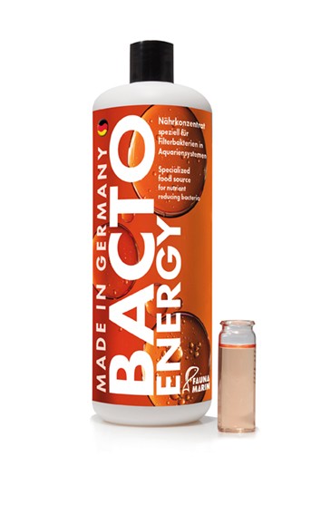 Bacto Energy 1000ml Start und Bakteriennährlösung