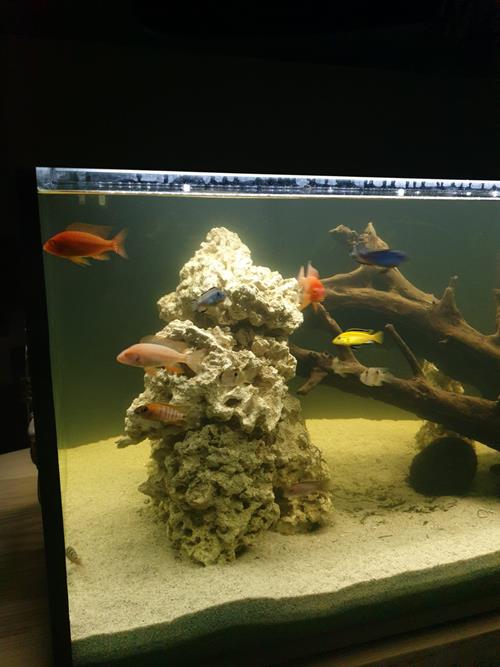 IMG-20191203-WA0004-Copy