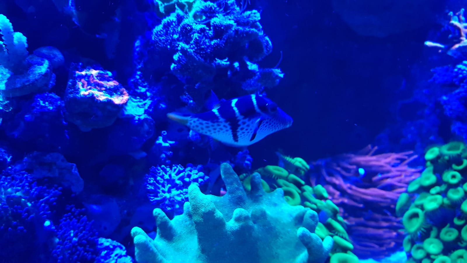 IMG-20190228-WA0008