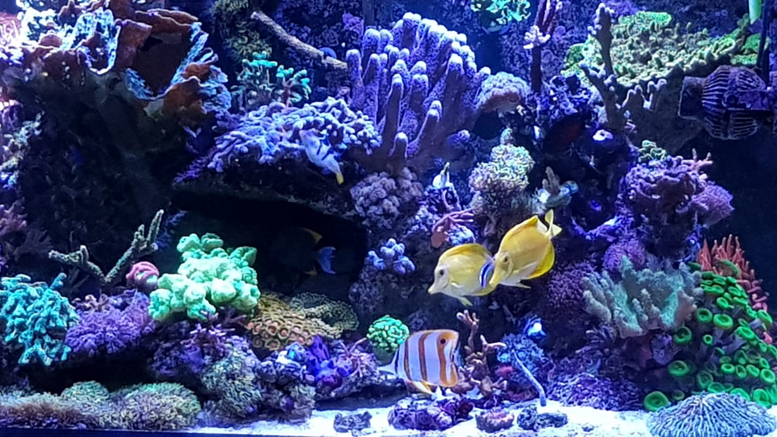 IMG-20190228-WA0004