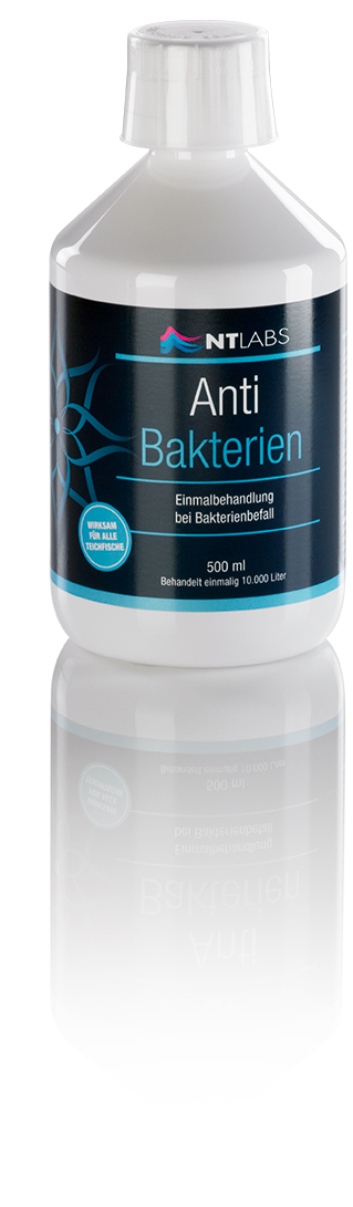 Anti Bakterien - 1000ml