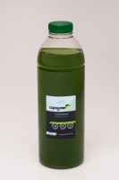 Phytoplankton Nannochloropsis sp. 1000 ml Phytoplankton Nannochloropsis sp. 1000 ml