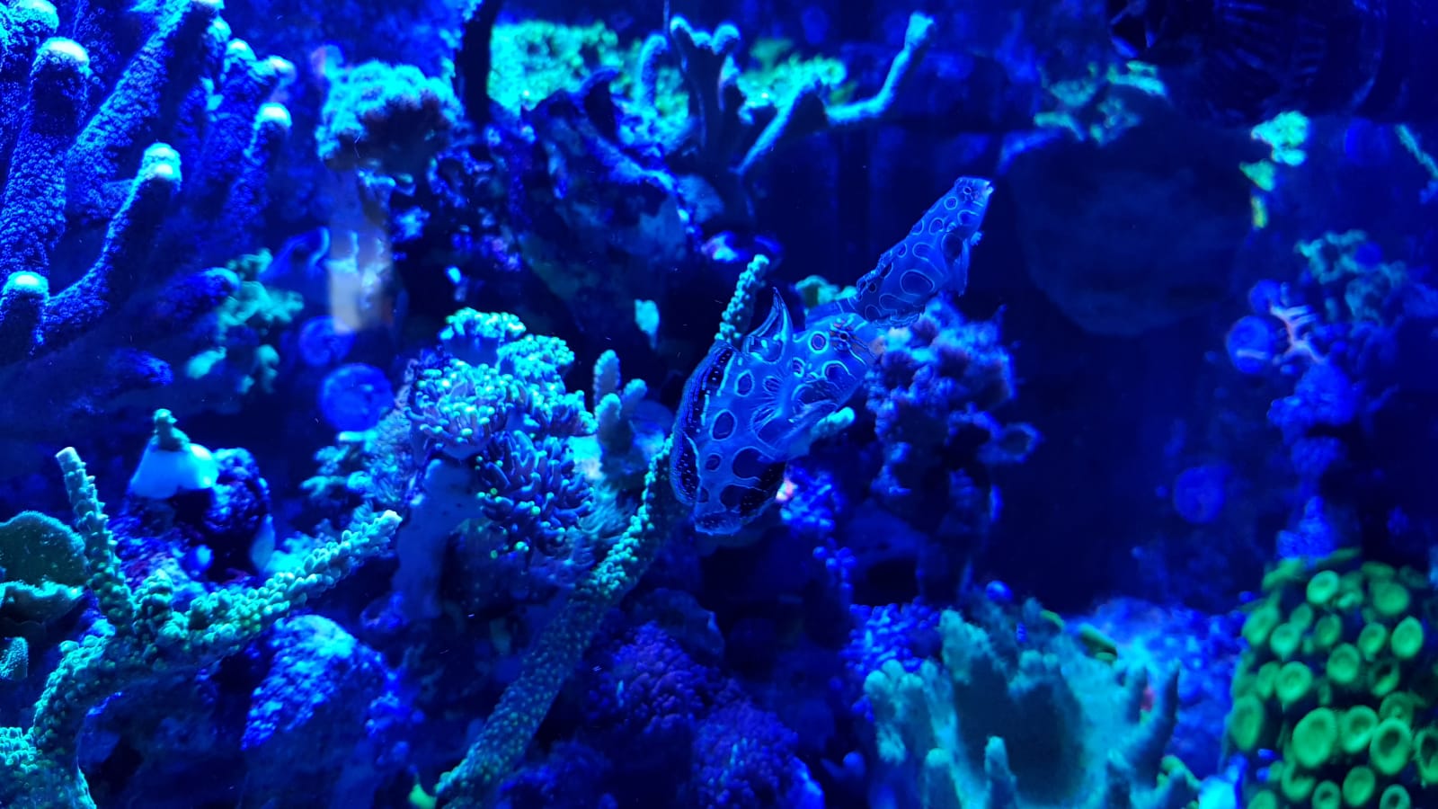 IMG-20190228-WA0010
