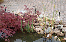 Pond Defence 100 - Elektrische Einzäunung Komplettset