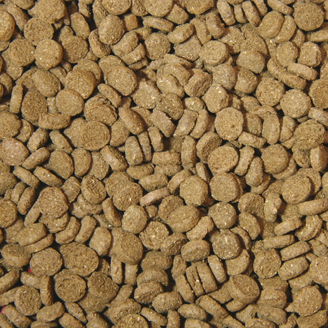 Hauptfutter-Chips für Krebse - 100 ml