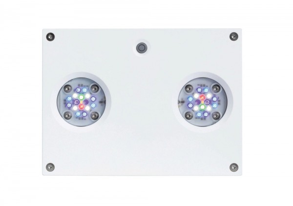 AI Hydra HD 32 LED weiß